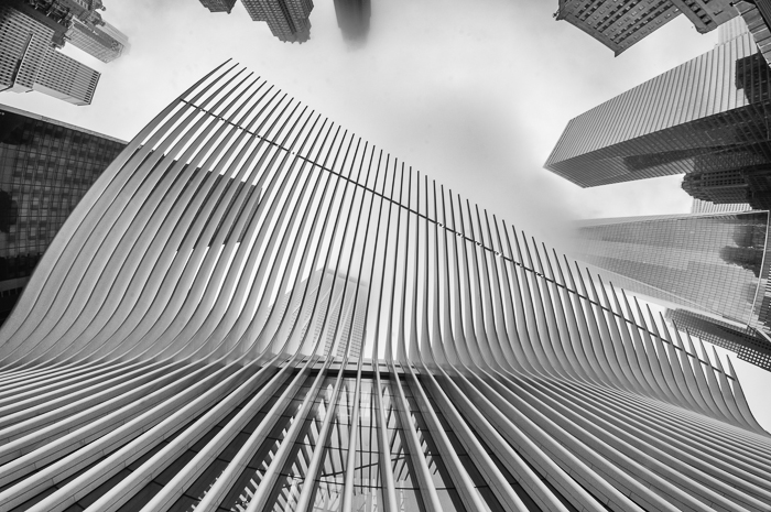 Look up (1 of 1)